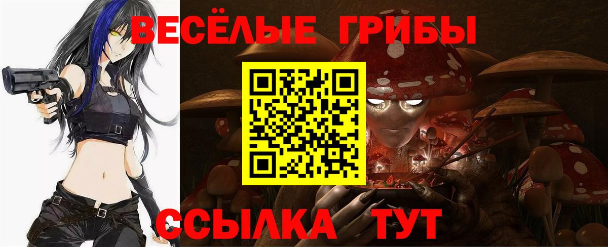 Псилоцибиновые грибы Psilocybine cubensis Елец